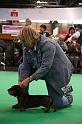 Crufts2011_2 1632